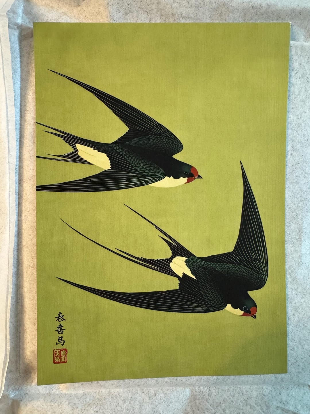 Customer photo review of Japanese Swallow Birds Canvas Wall Art