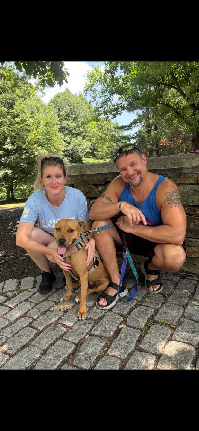 Customer photo review of The Love Of Dogs