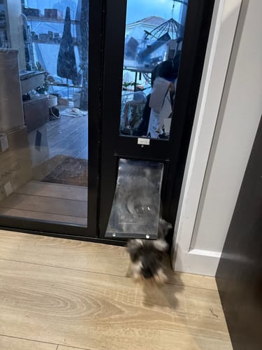 Customer photo review of Patio Pet Door Insert