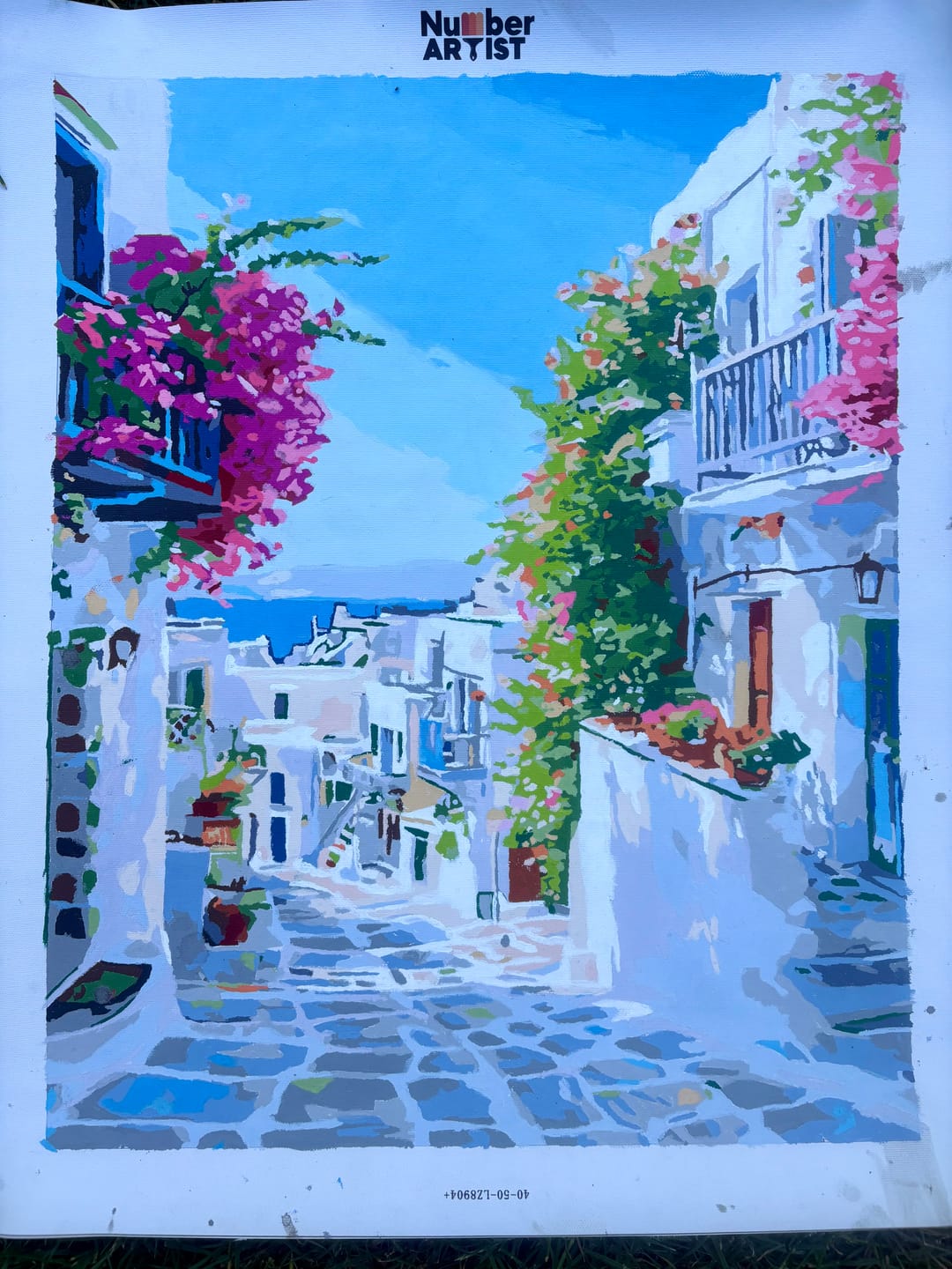 Customer photo review of Aegean Steps
