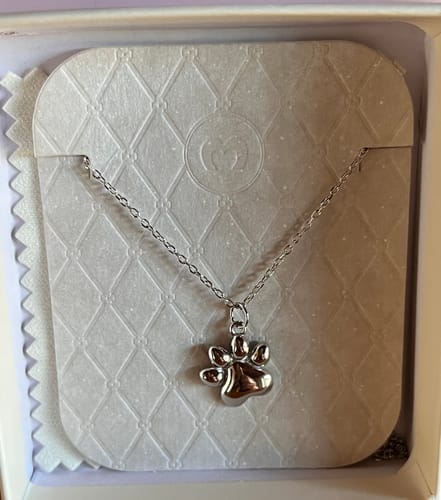 Customer photo review of Collar Patita
