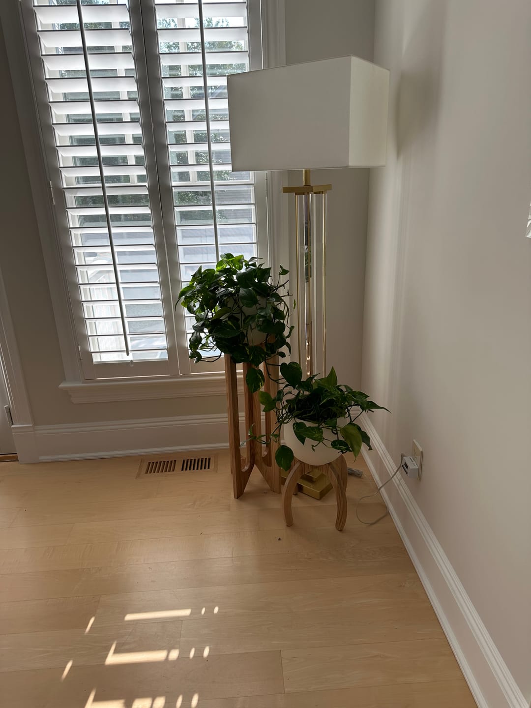 Customer photo review of Arches & Nested Plant Stand Mix