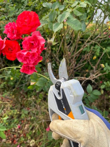 Customer photo review of 18V Nexxcut Cordless Brushless Pruner 30mm