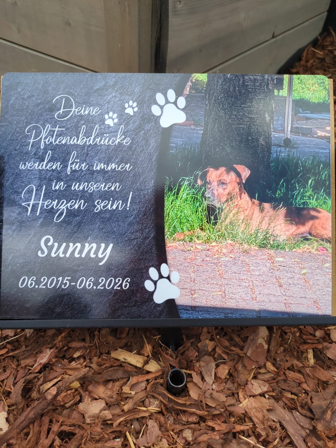 Customer photo review of Hunde Gedenktafel mit Foto & Spruch (UV- &  Wetterfest)