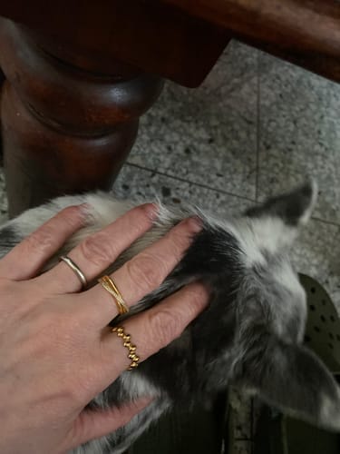 Customer photo review of Anillo Brillo Lineal