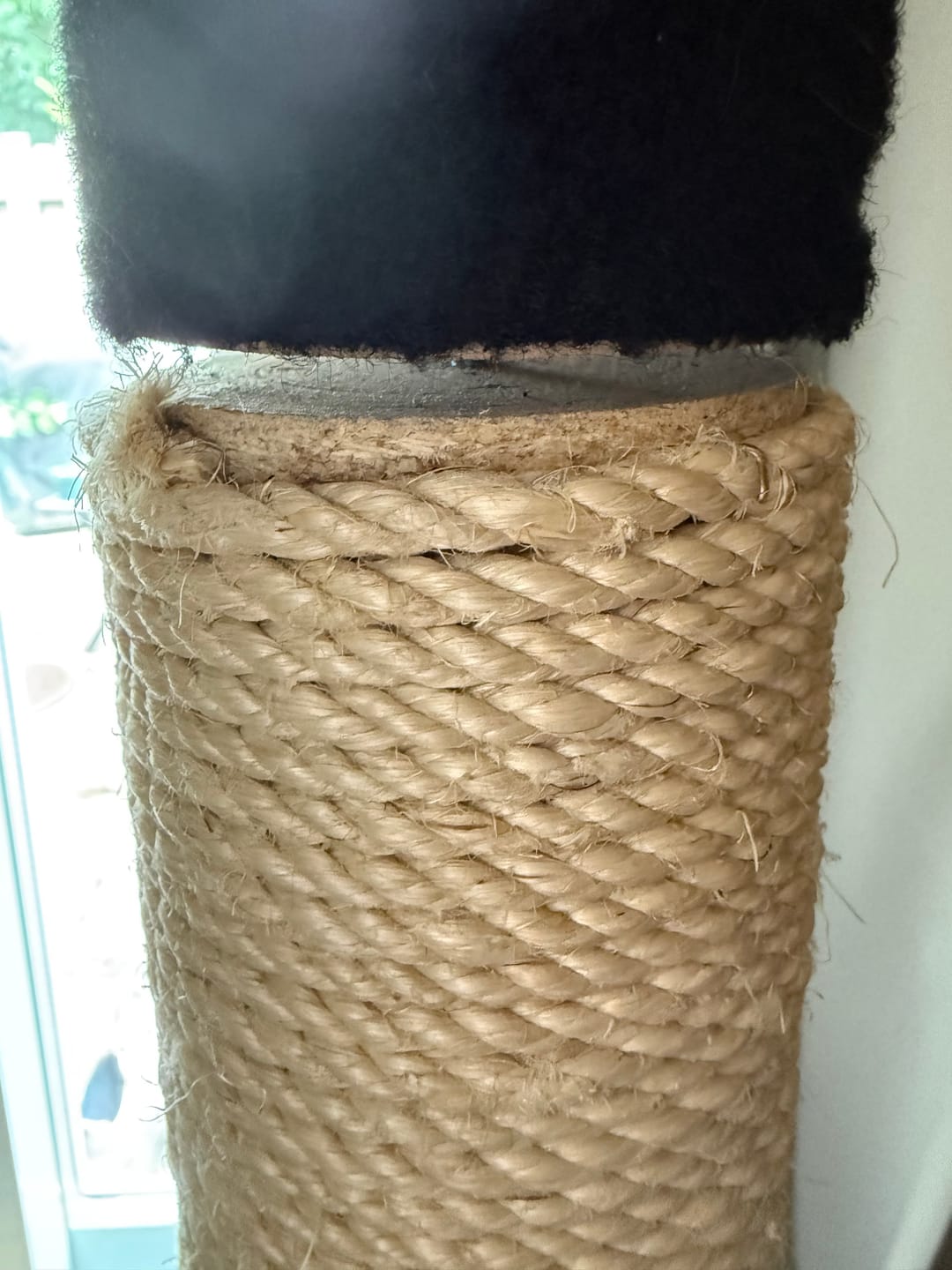 Customer photo review of Maine Coon 65" Cat Tower - 5-Level Cat Tree