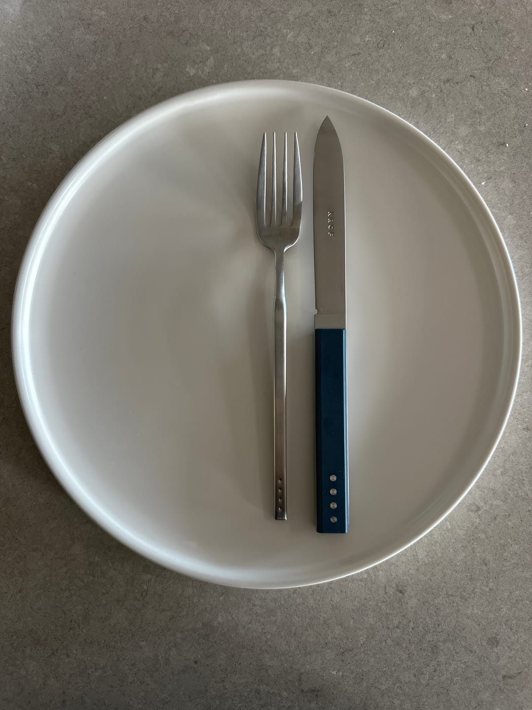 Customer photo review of Brushed Silver Steak Knives - 6pc