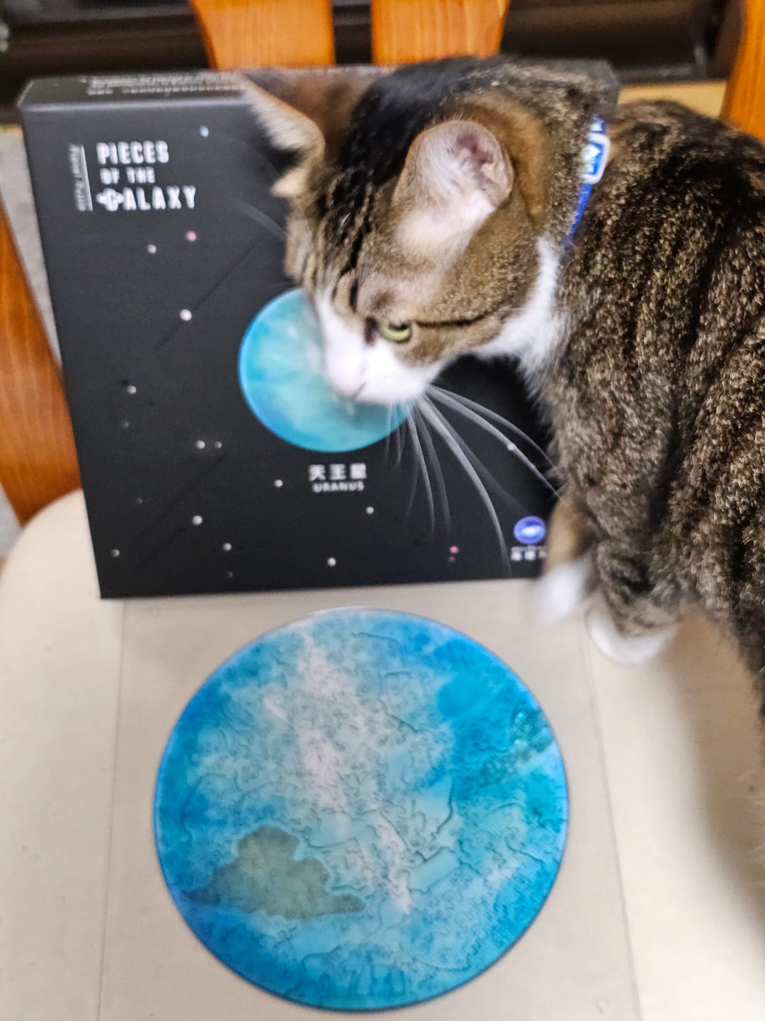 Customer photo review of 【６月入庫分予約】宇宙の破片 URANUS 天王星と専用フレームセット