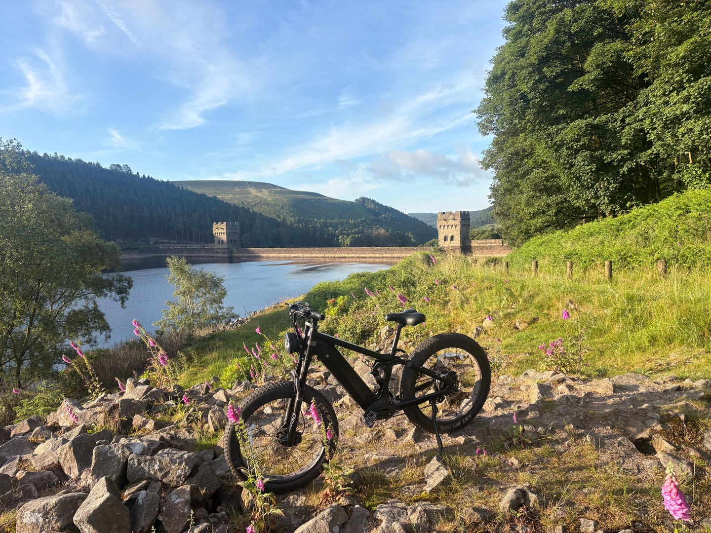 Customer photo review of T7PRO Full Suspension Mountain E-bike