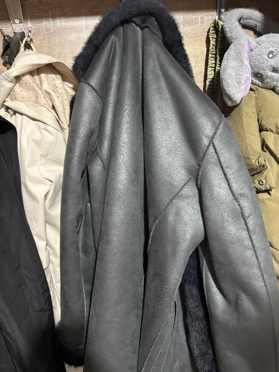 Customer photo review of BILSON™ Çift Taraflı Vizon Kaban