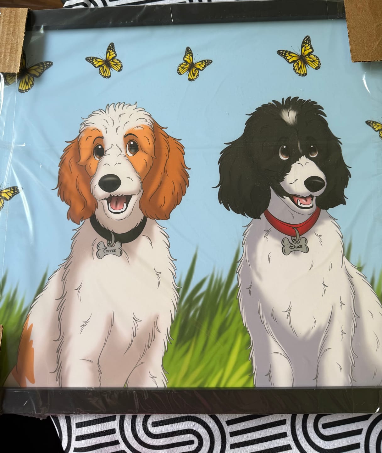 Customer photo review of Frame | Custom Hand-Drawn Cartoon Pet Portrait