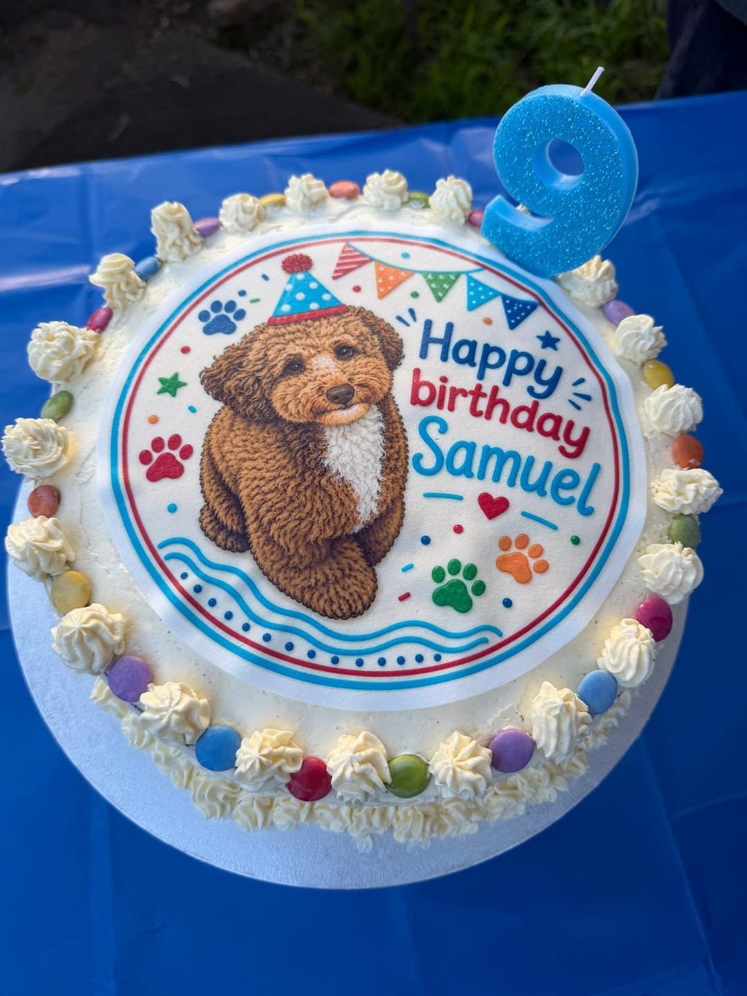 Customer photo review of 20 cm Pre-cut Circle Custom Edible Icing Image