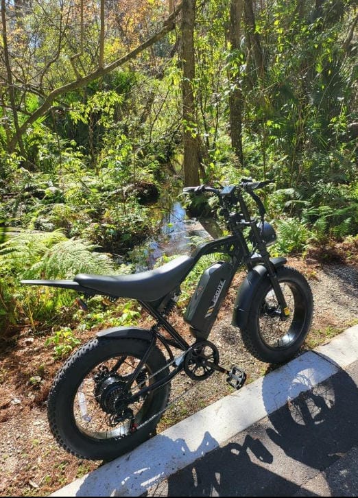 Customer photo review of Eskute V202 Retro E-Bike