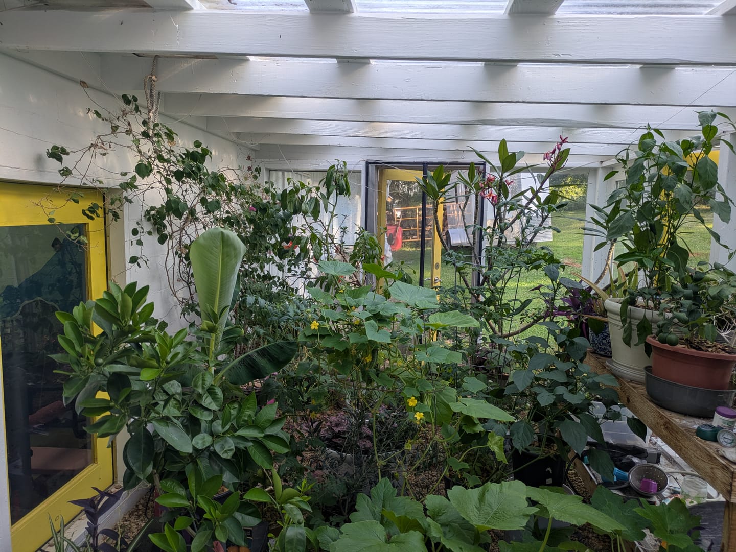 Customer photo review of Ancient Soil Organic Living Soil