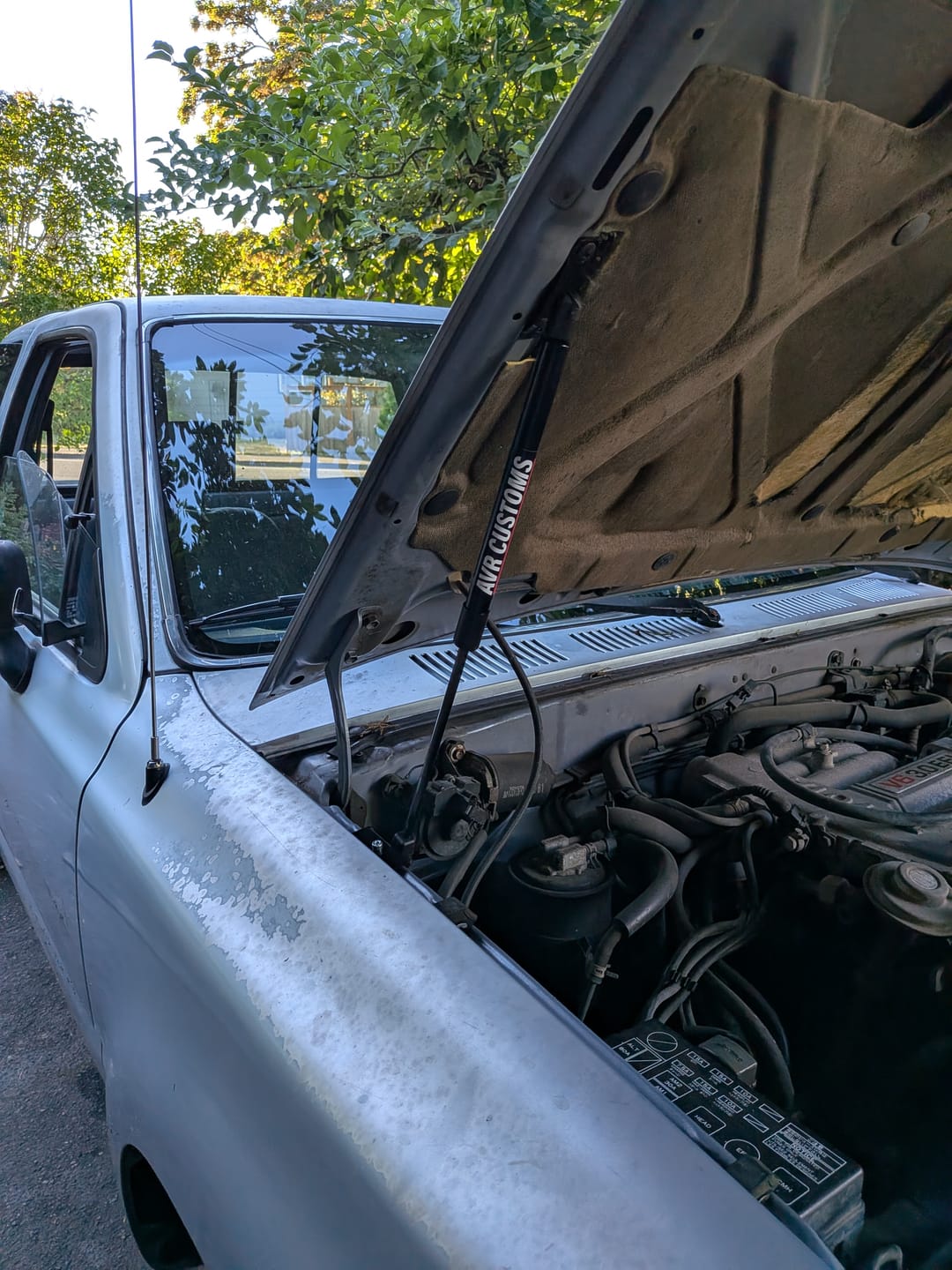 Customer photo review of 1989-1995 Toyota Pickup/ 4Runner EZ Lift Hood Struts