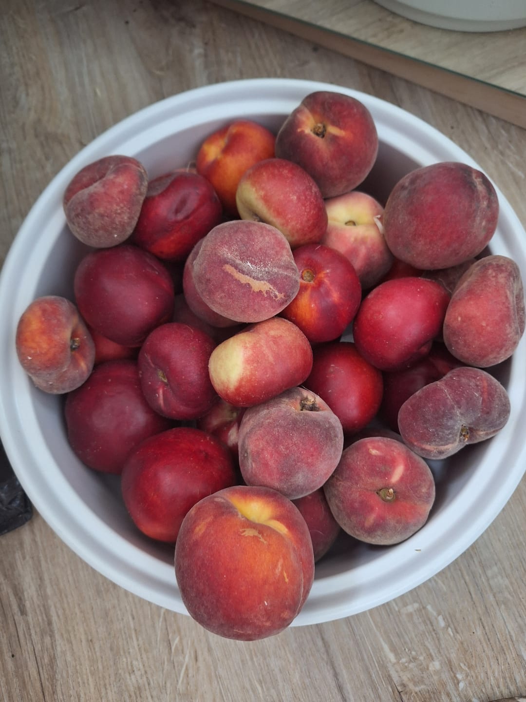 Customer photo review of Weinbergpfirsiche & Tellernektarinen gelb & weiss Bio von Jose