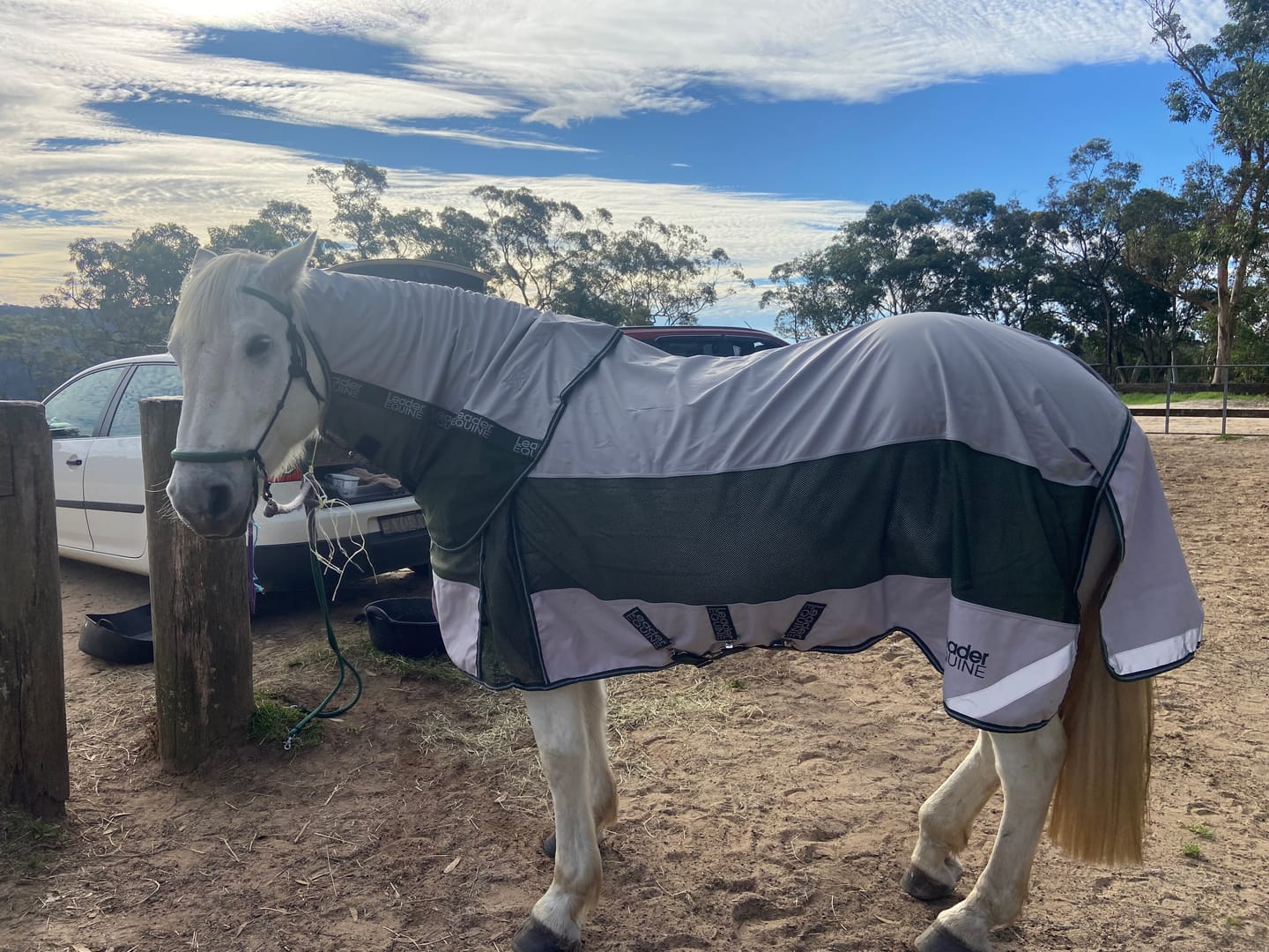 Customer photo review of LE Boxter Hybrid Mack Turnout 0g