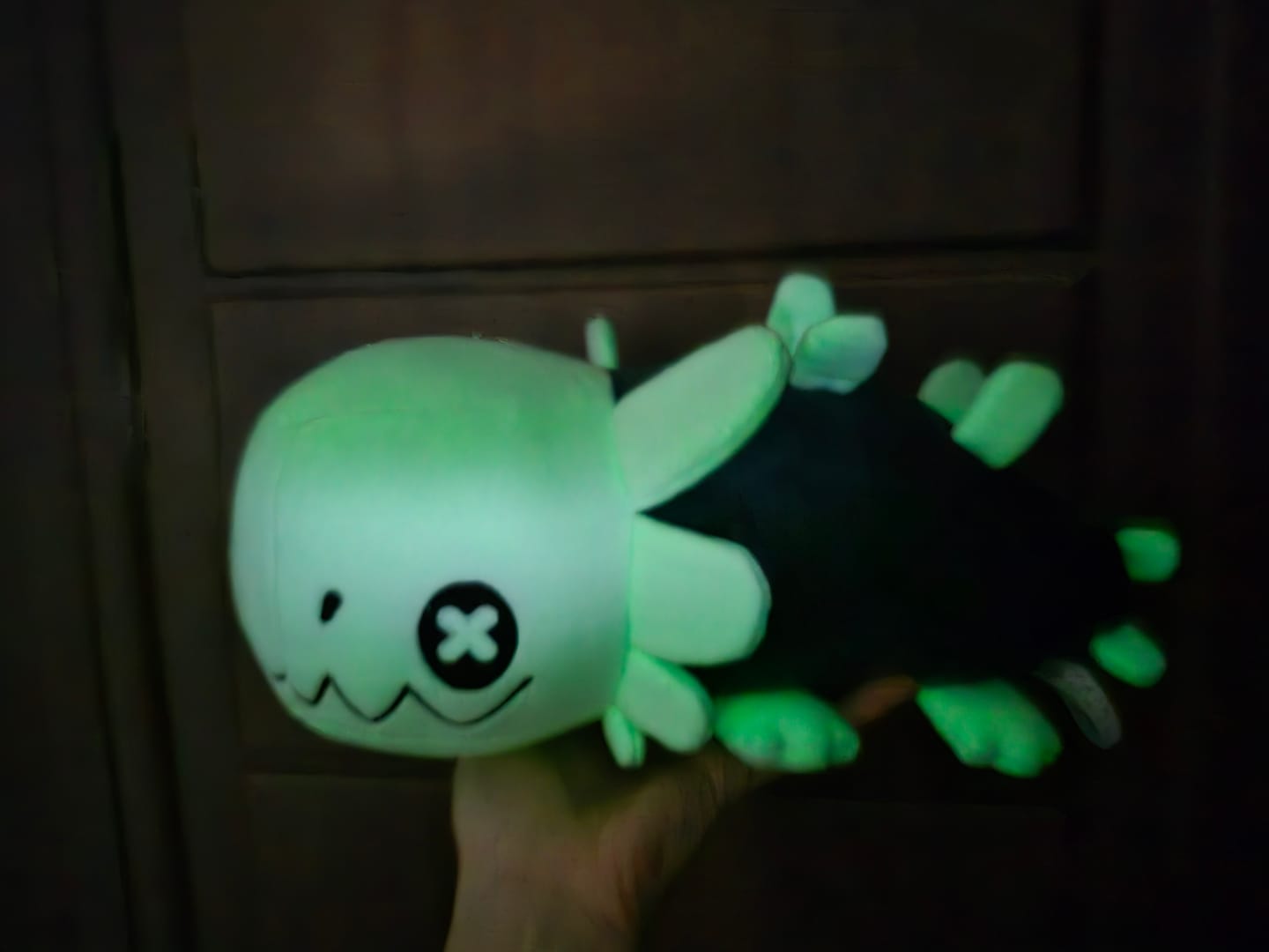 Customer photo review of Rain World - Glowing Green Lizard Plush