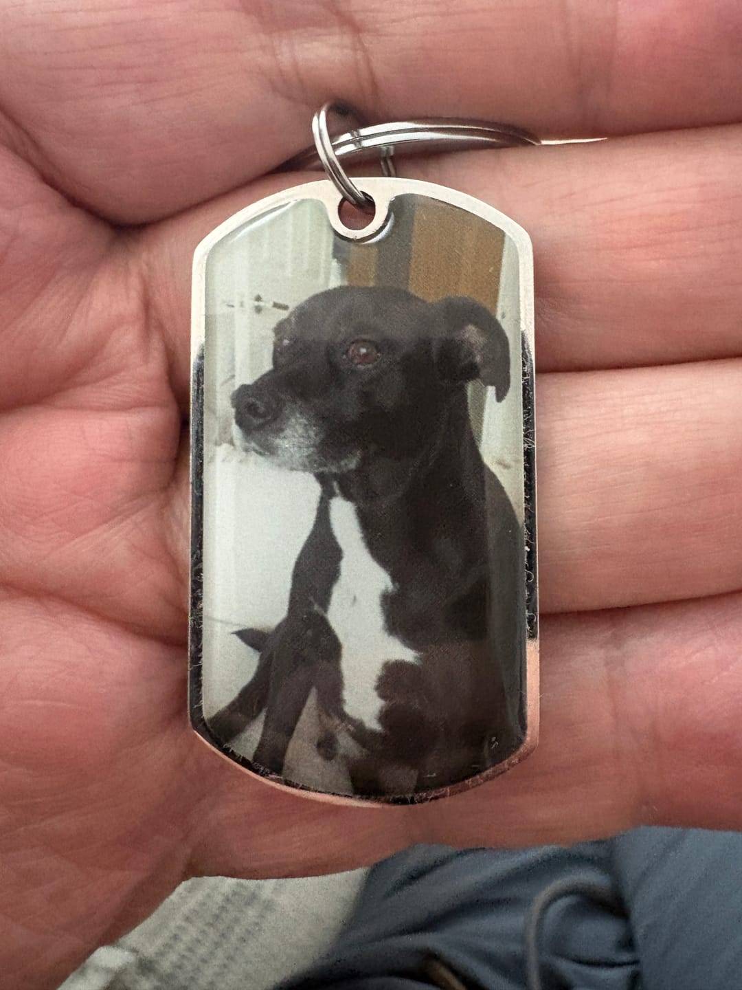 Customer photo review of Personalized Pet Keychain