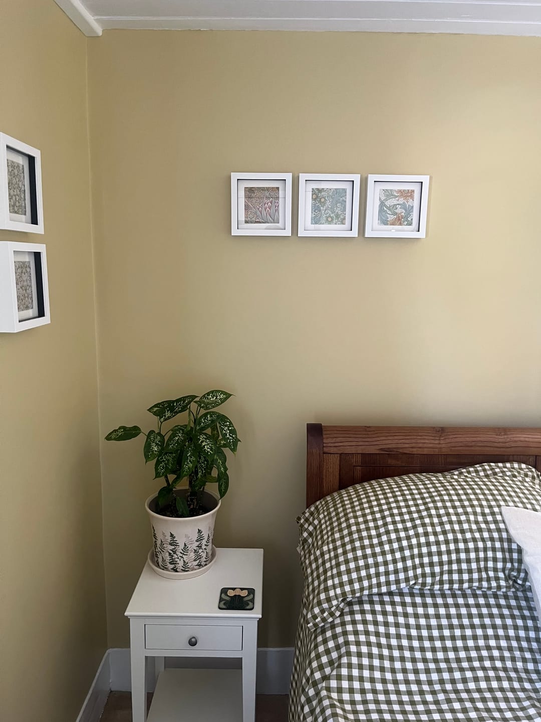Customer photo review of All White (2005)