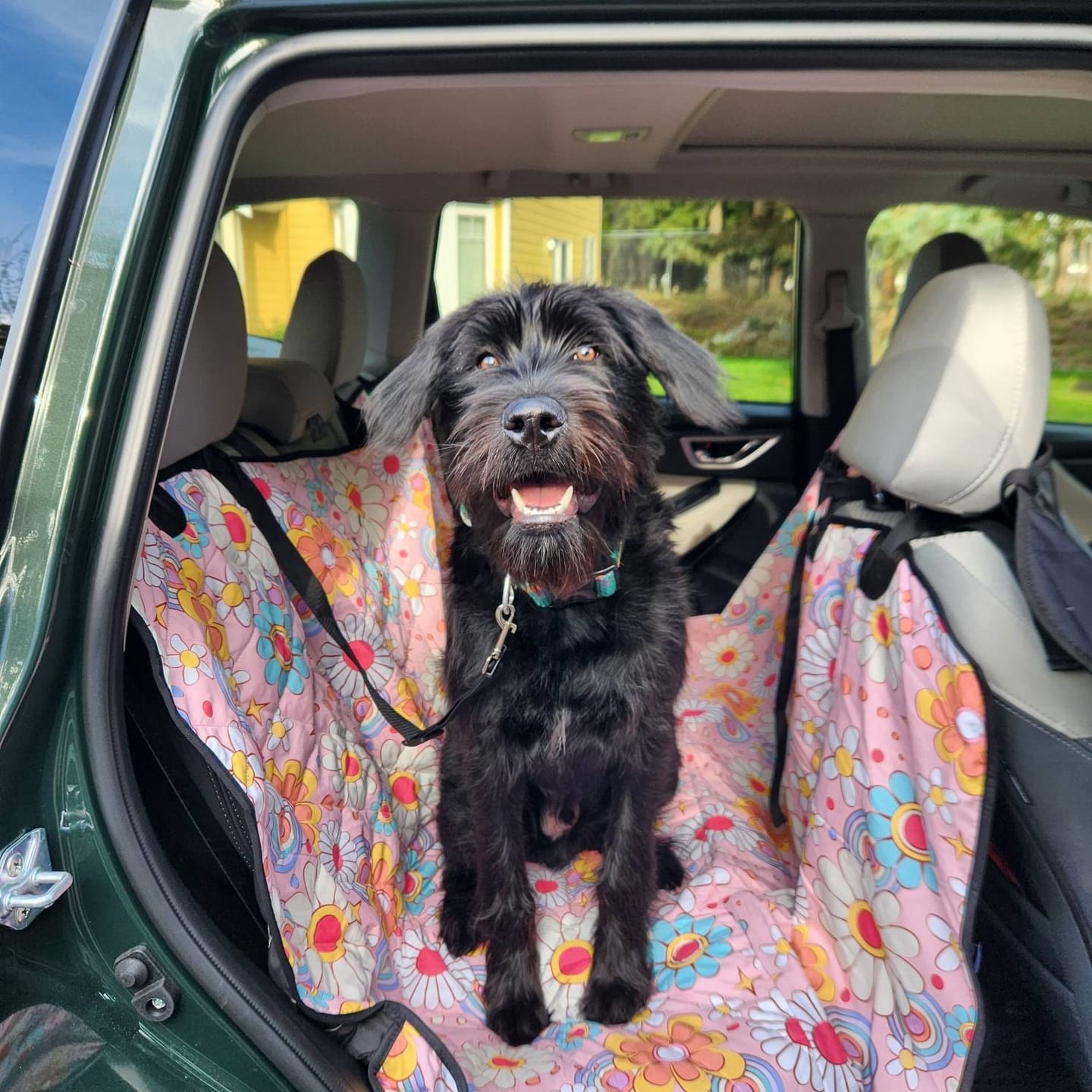 Customer photo review of Retro Floral Dog Back Seat Cover, Vintage Flowers Pink Cat Rear Protector Pets Waterproof Washable Vehicle Blanket SUV Auto Truck Hammock