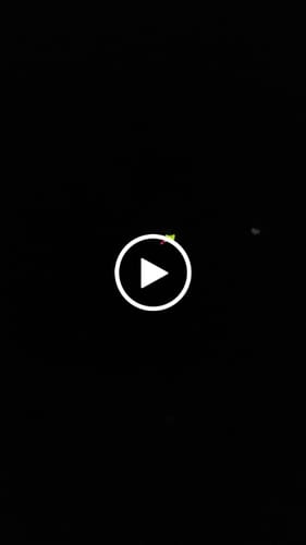 Customer video review of THCA Exotics Value Pack