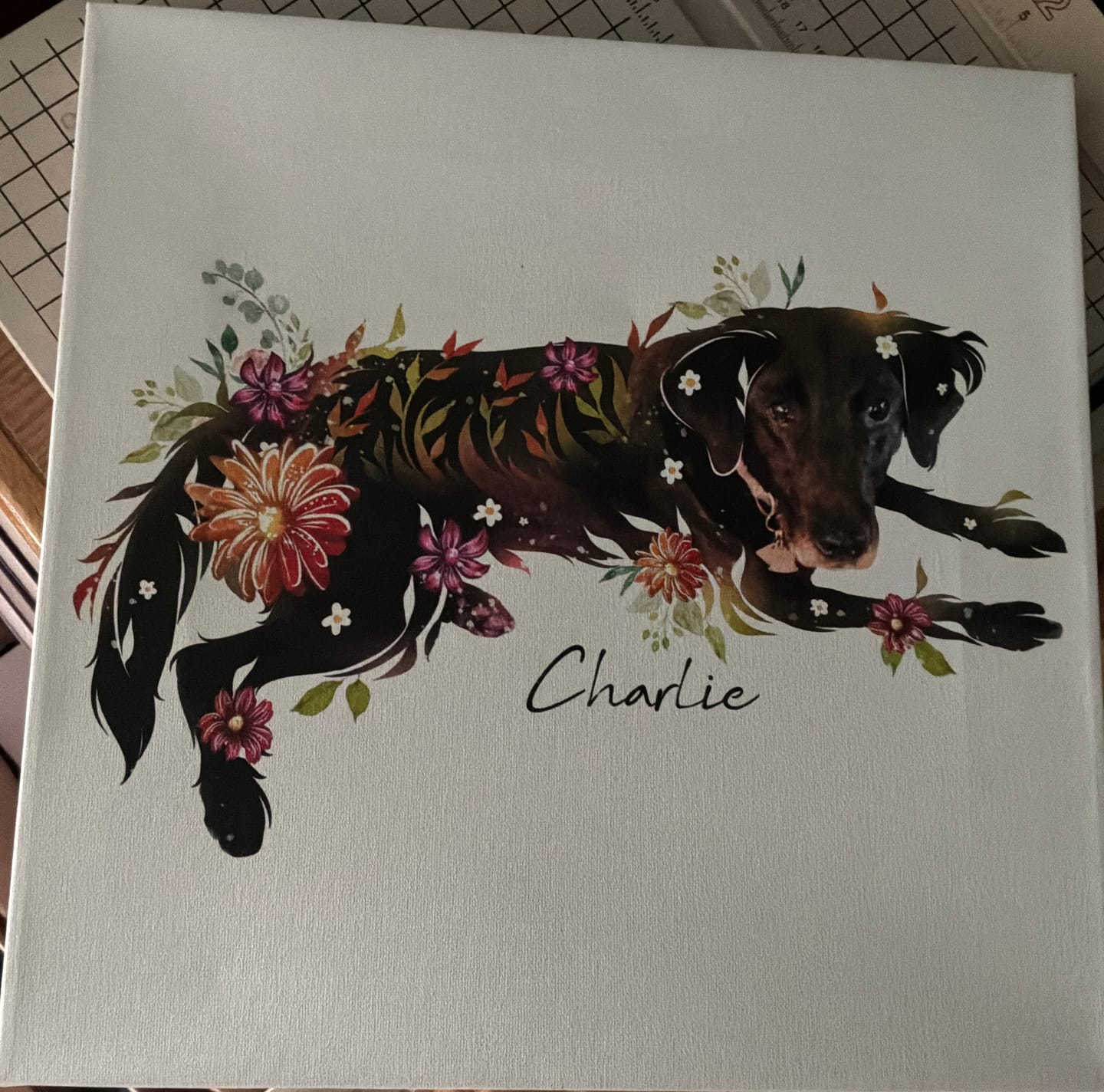 Customer photo review of Flowerpup Custom Pet Portrait (Humans too!)