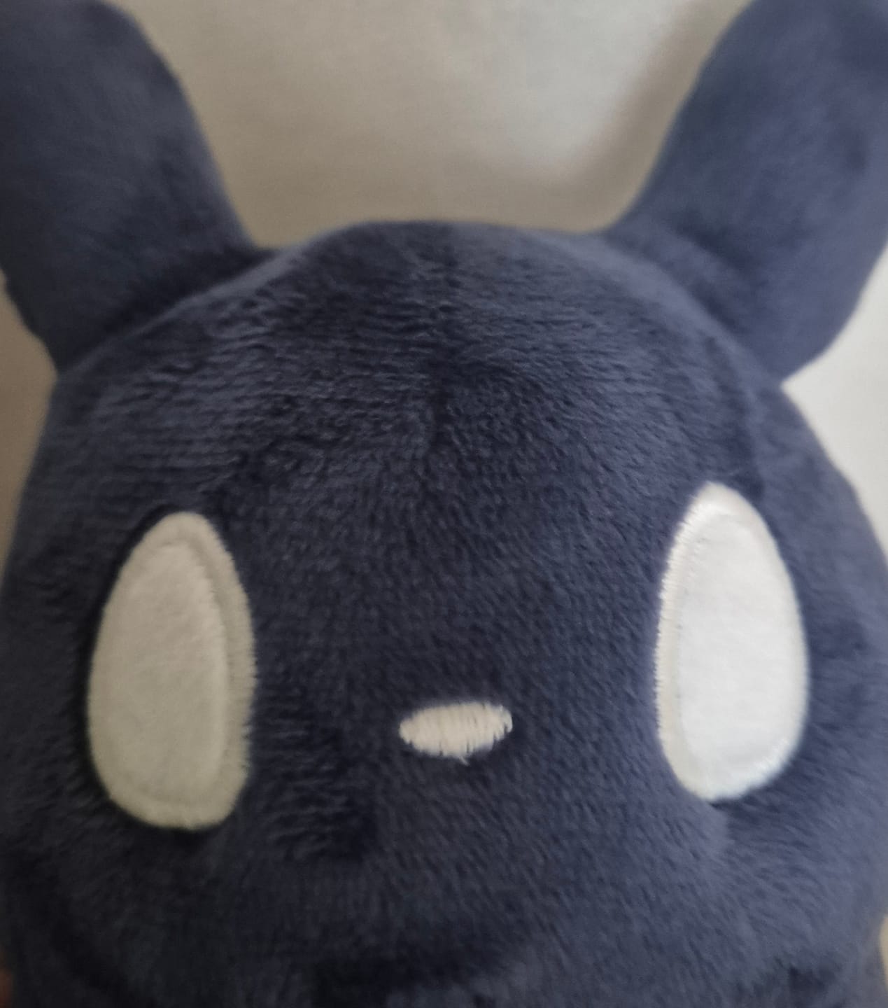 Customer photo review of Rain World - The Watcher Slugpup Plush