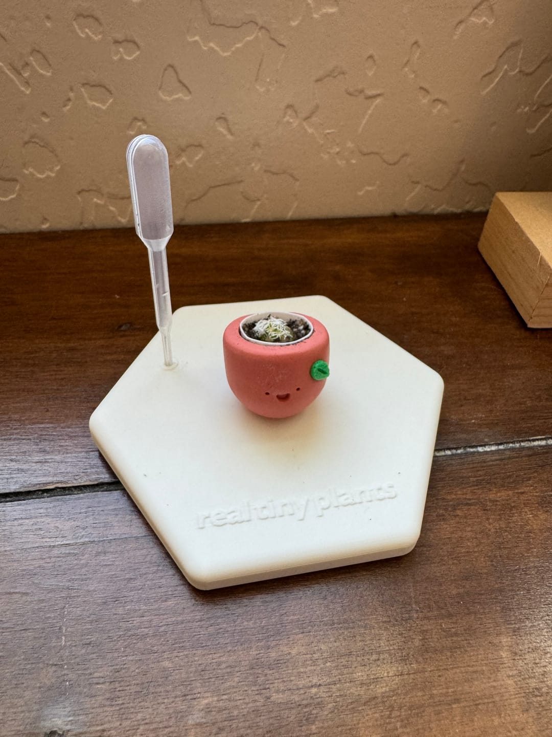 Customer photo review of Sweet Clementine