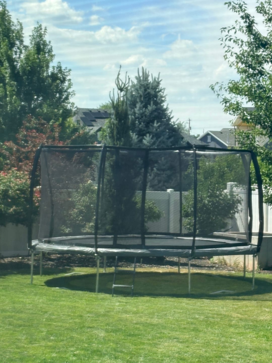 Customer photo review of 15' Trampoline Round Pro-Line Avyna Above Ground With Enclosure