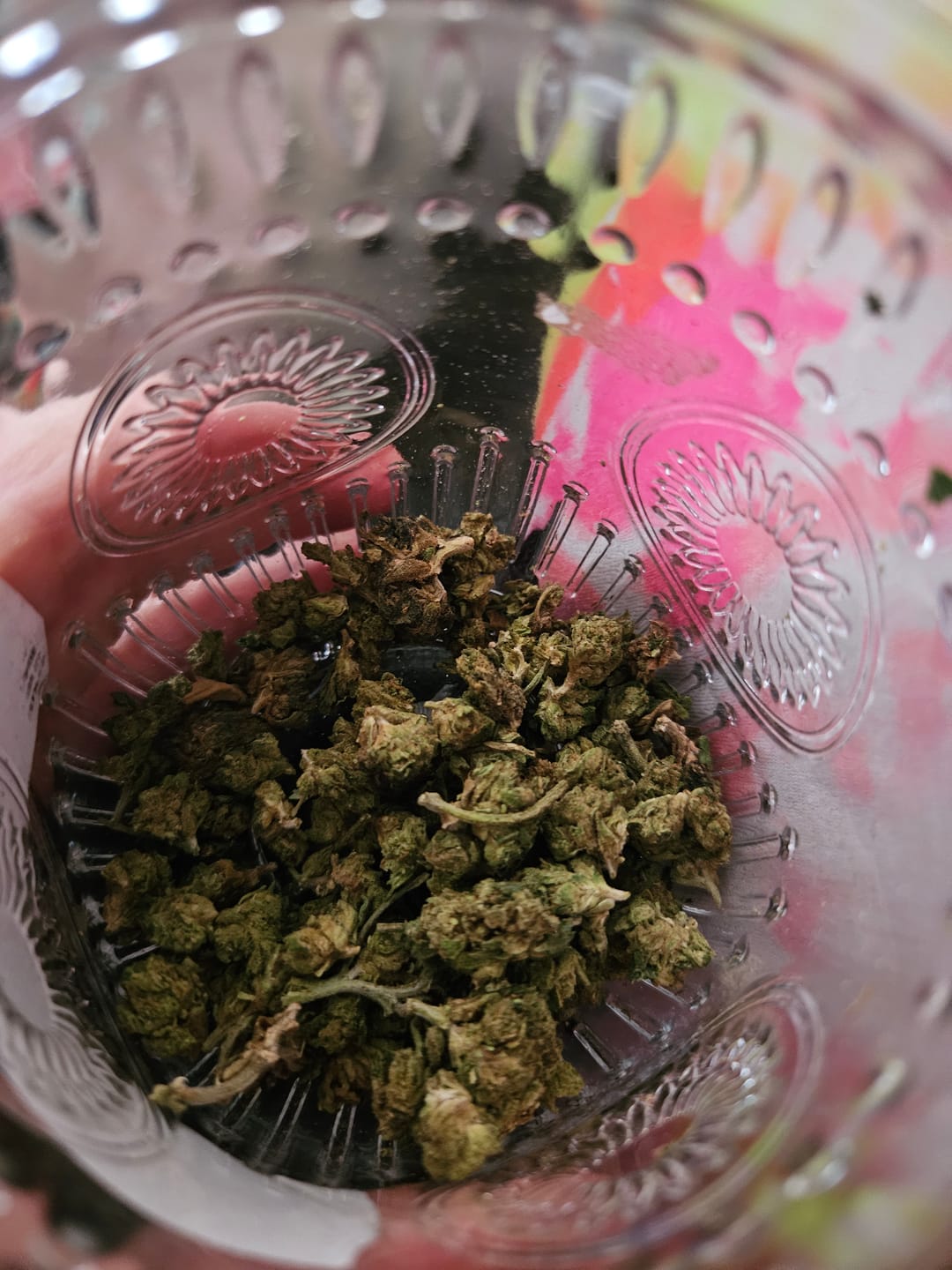 Customer photo review of Gelato 41 - 28 Grams - Hybrid