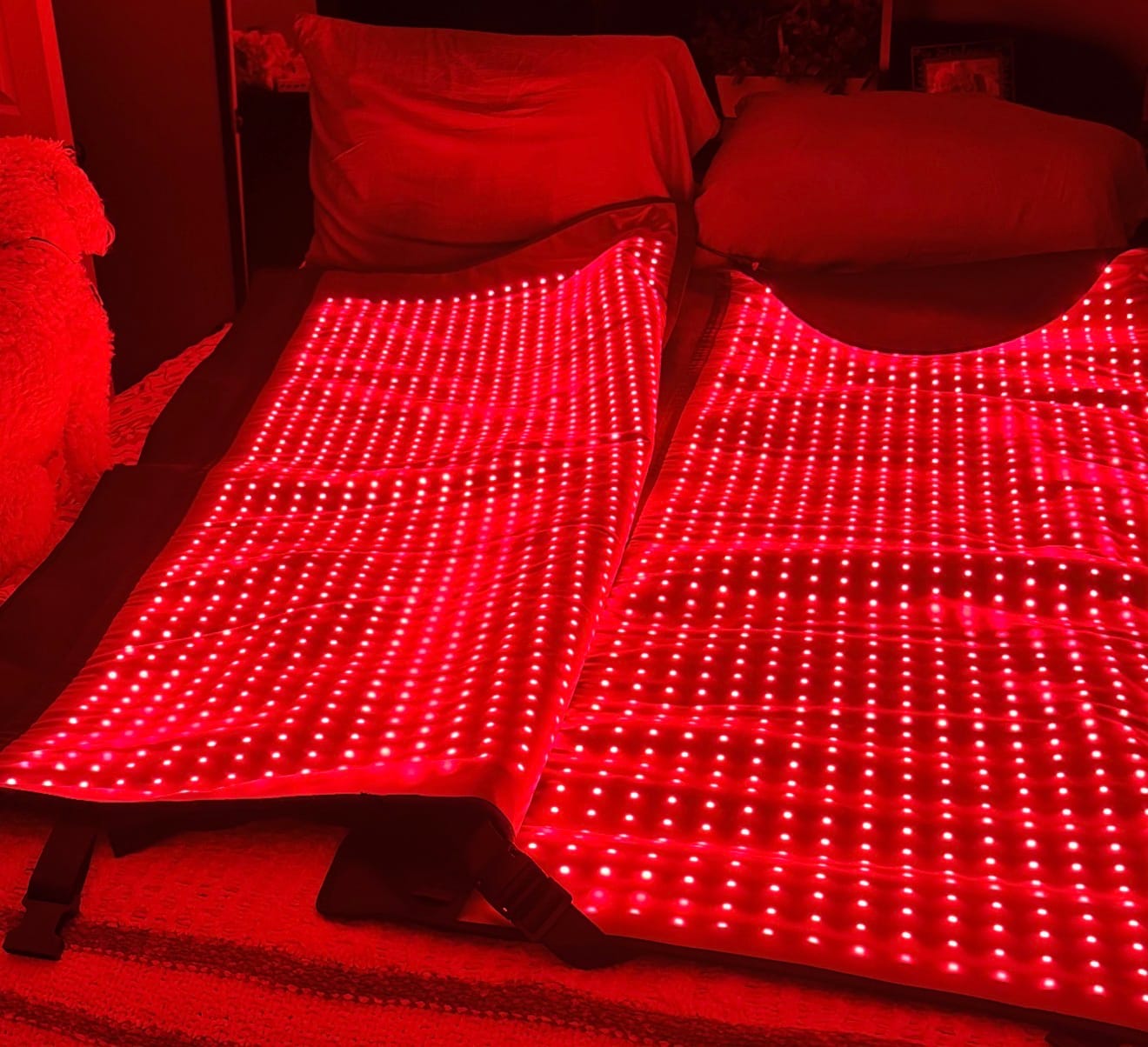 Customer photo review of LUMYHEALTH Red Light Therapy Bag For Full Body - Infrared Recovery System (660nm + 850nm)