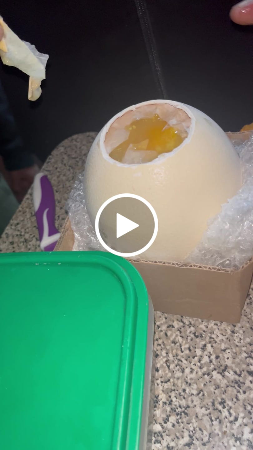 Customer video review of Fresh Ostrich Eggs for Sale | Farm Fresh Karoo Ostrich Eggs