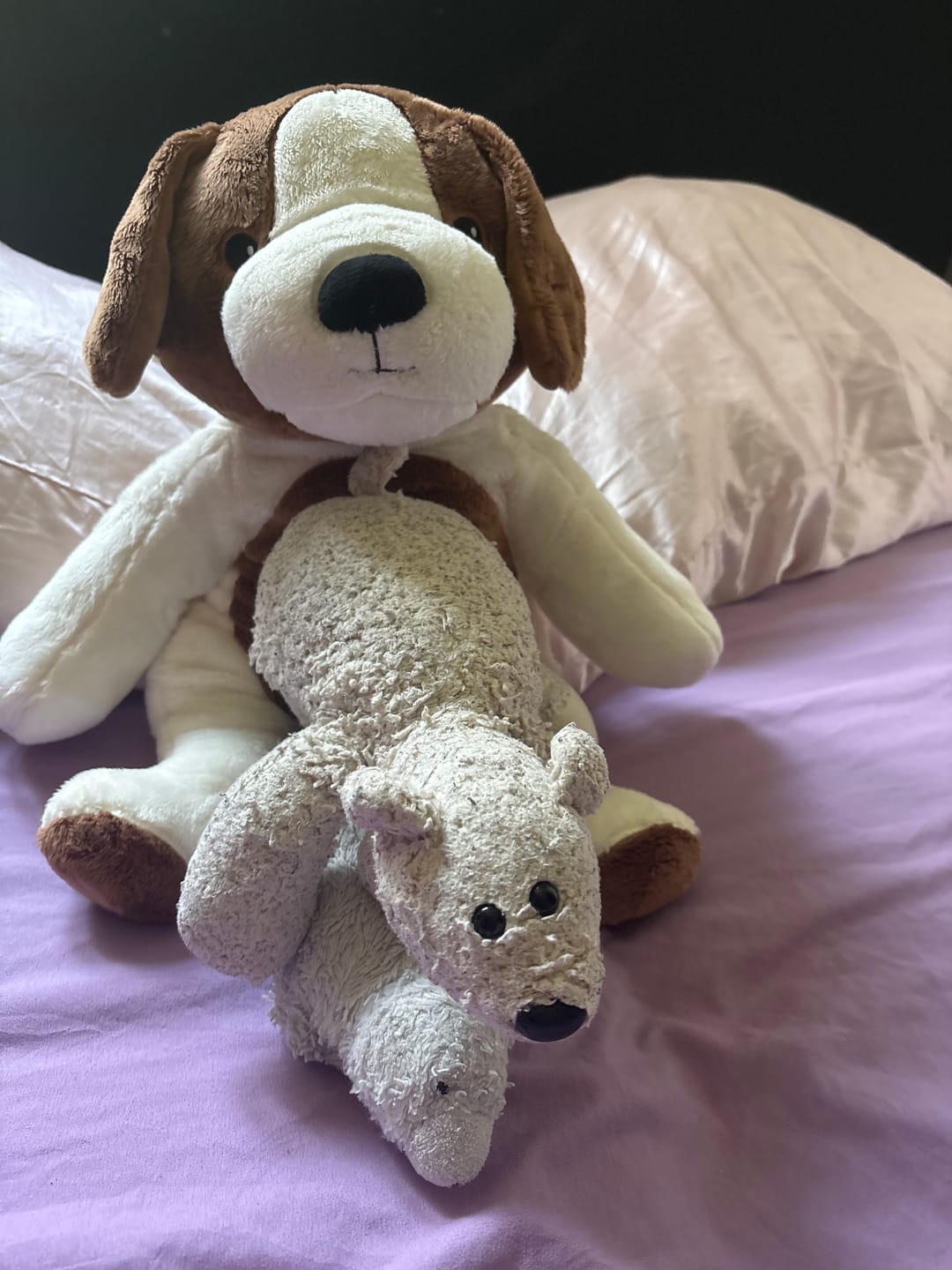 Customer photo review of Lotgenootje Hond 2kg