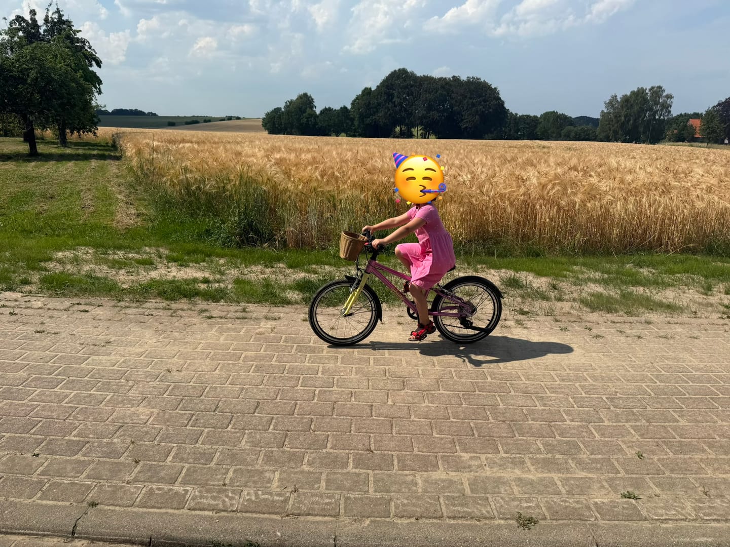 Customer photo review of whizzy Kids | WildCruiser 20'' Fahrrad | Pre-Sale Mai / Juni