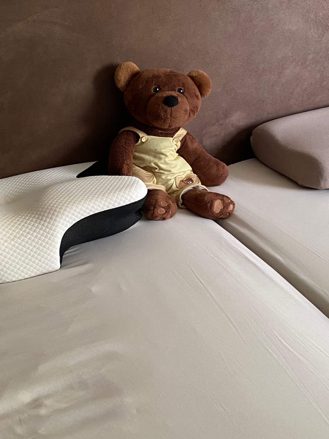 Customer photo review of Hond Kleding Winter Lotgenootje