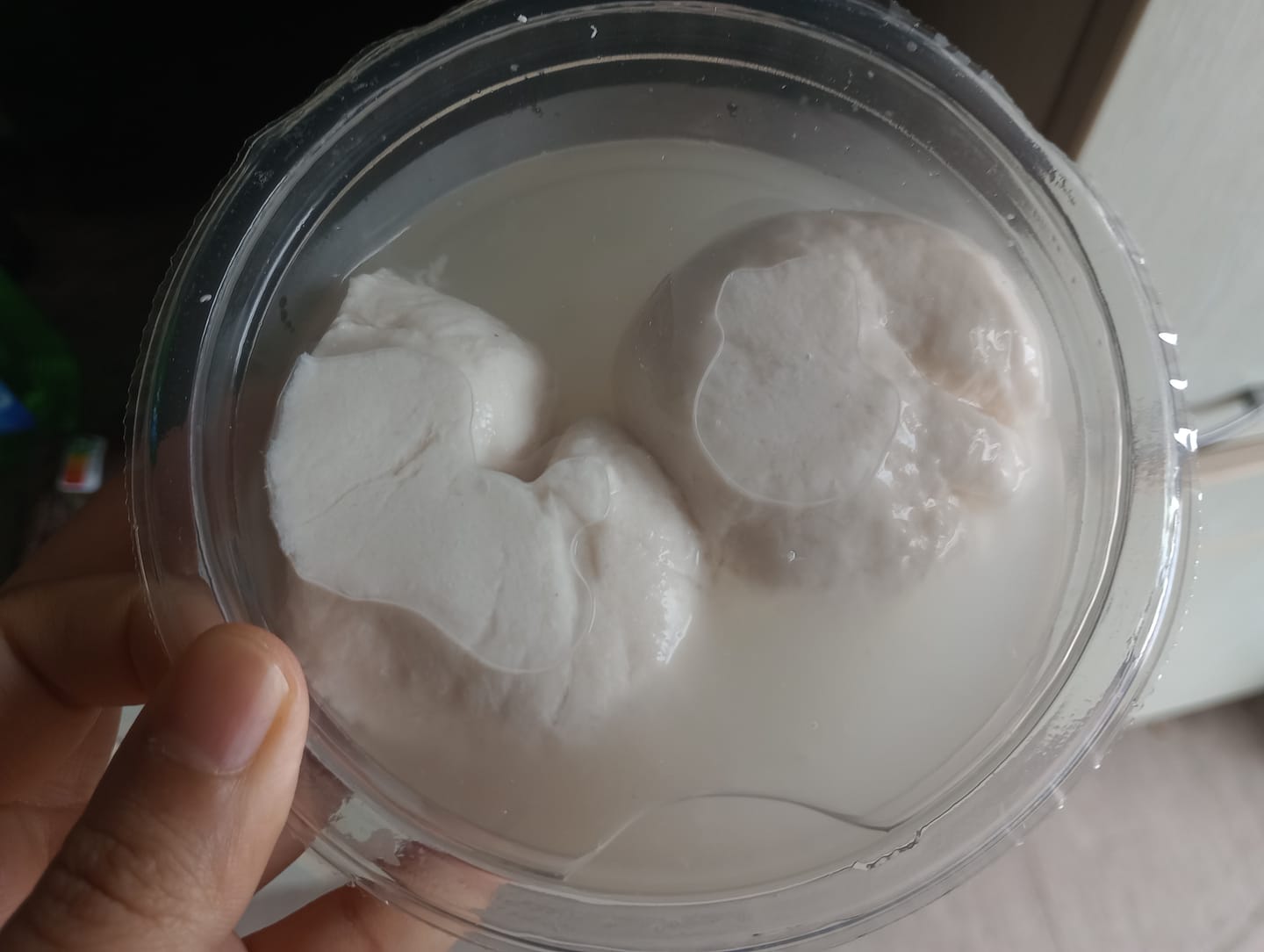 Customer photo review of Bocconcini in acqua 120g Fermaggio®