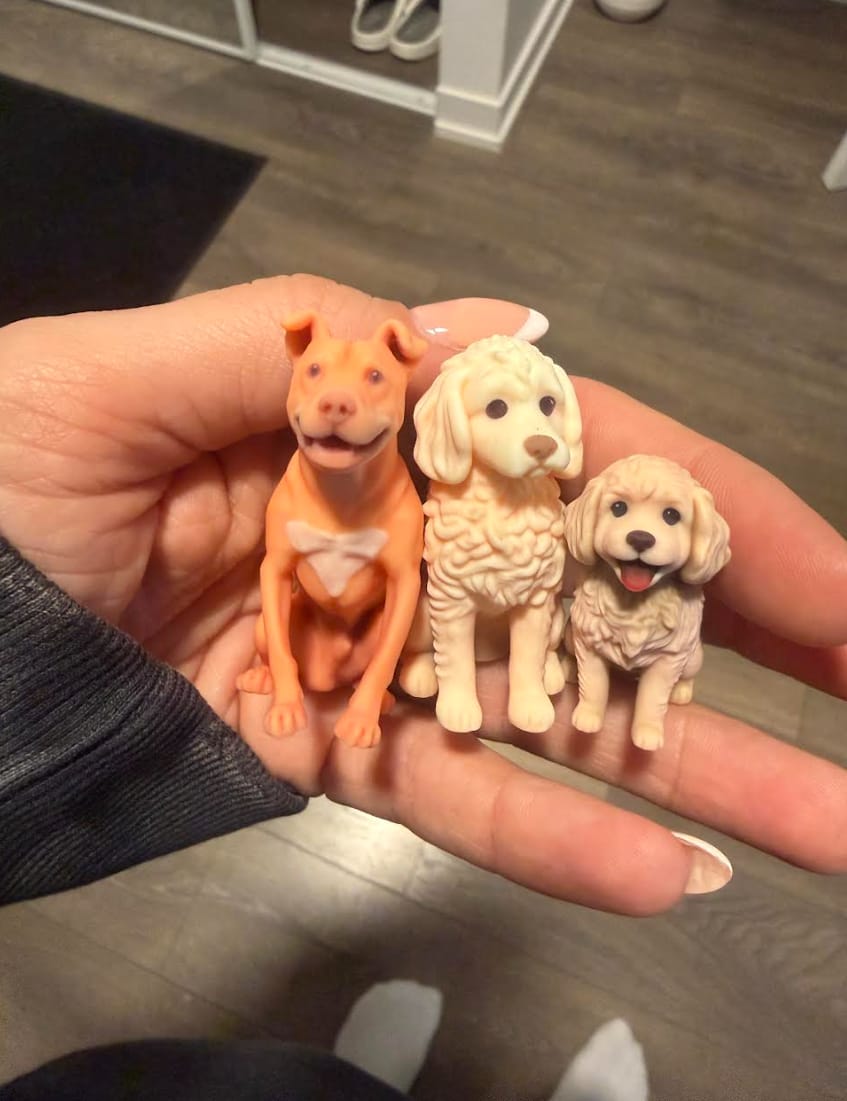 Customer photo review of Custom Pet Figurine from Photo - 3D Dog & Cat Keepsake