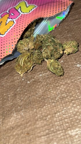 Customer's close-up of ZAZA Green Crack flower buds spilling from the colorful packaging.