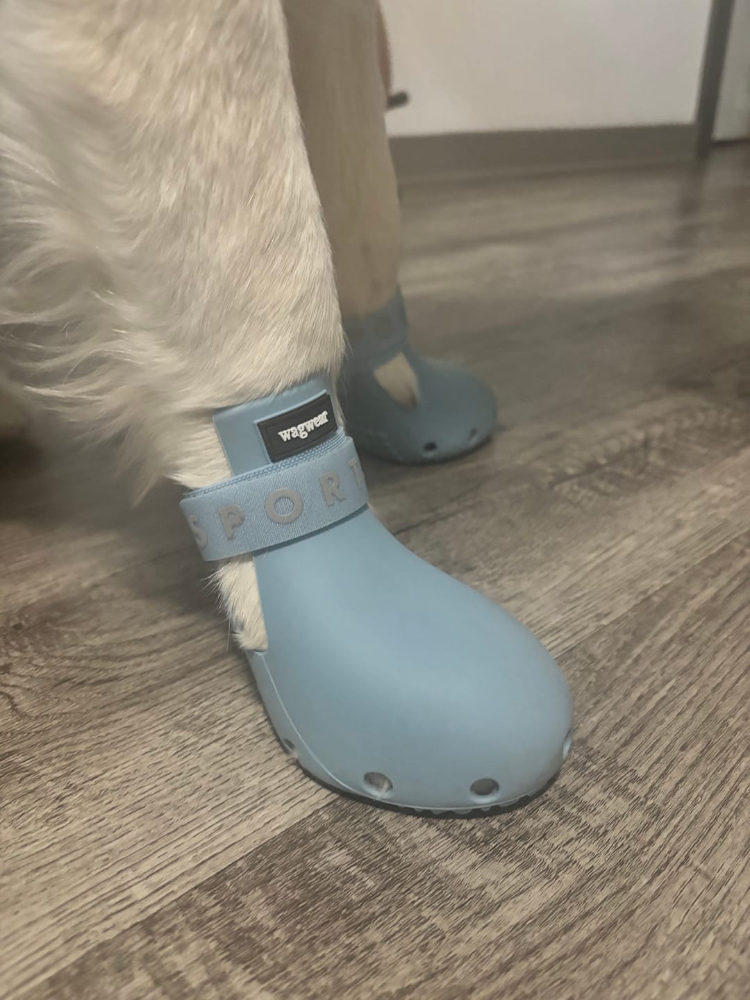 Customer photo review of WagWellie® SPORT Single