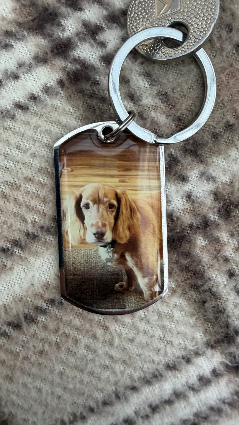 Customer photo review of Personalized Pet Keychain