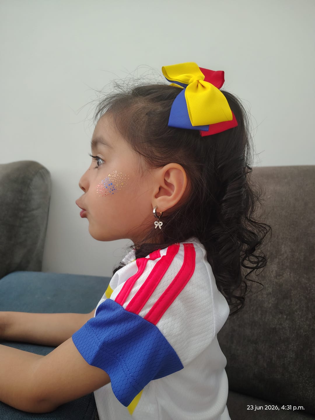 Customer photo review of PRE-VENTA Stickers Temporales para Apoyar la Tricolor - Nipskin®