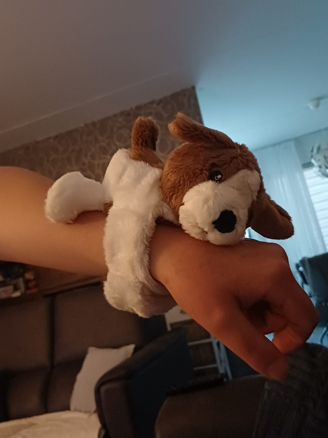 Customer photo review of Mini Lotgenootje Hond