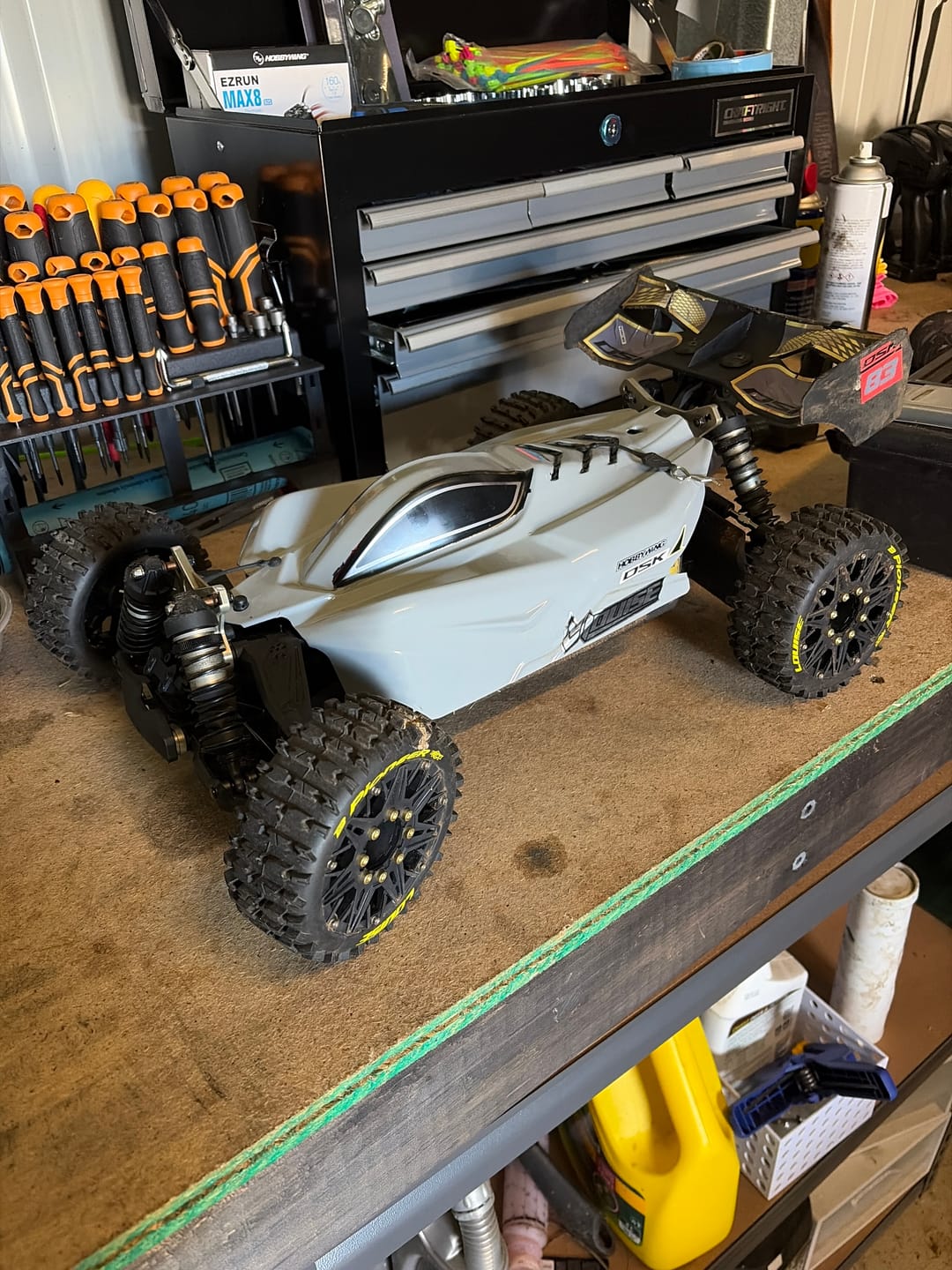 Customer photo review of Rlaarlo 1/8 4WD Buggy Dragon Scale Knight | DSK RTR