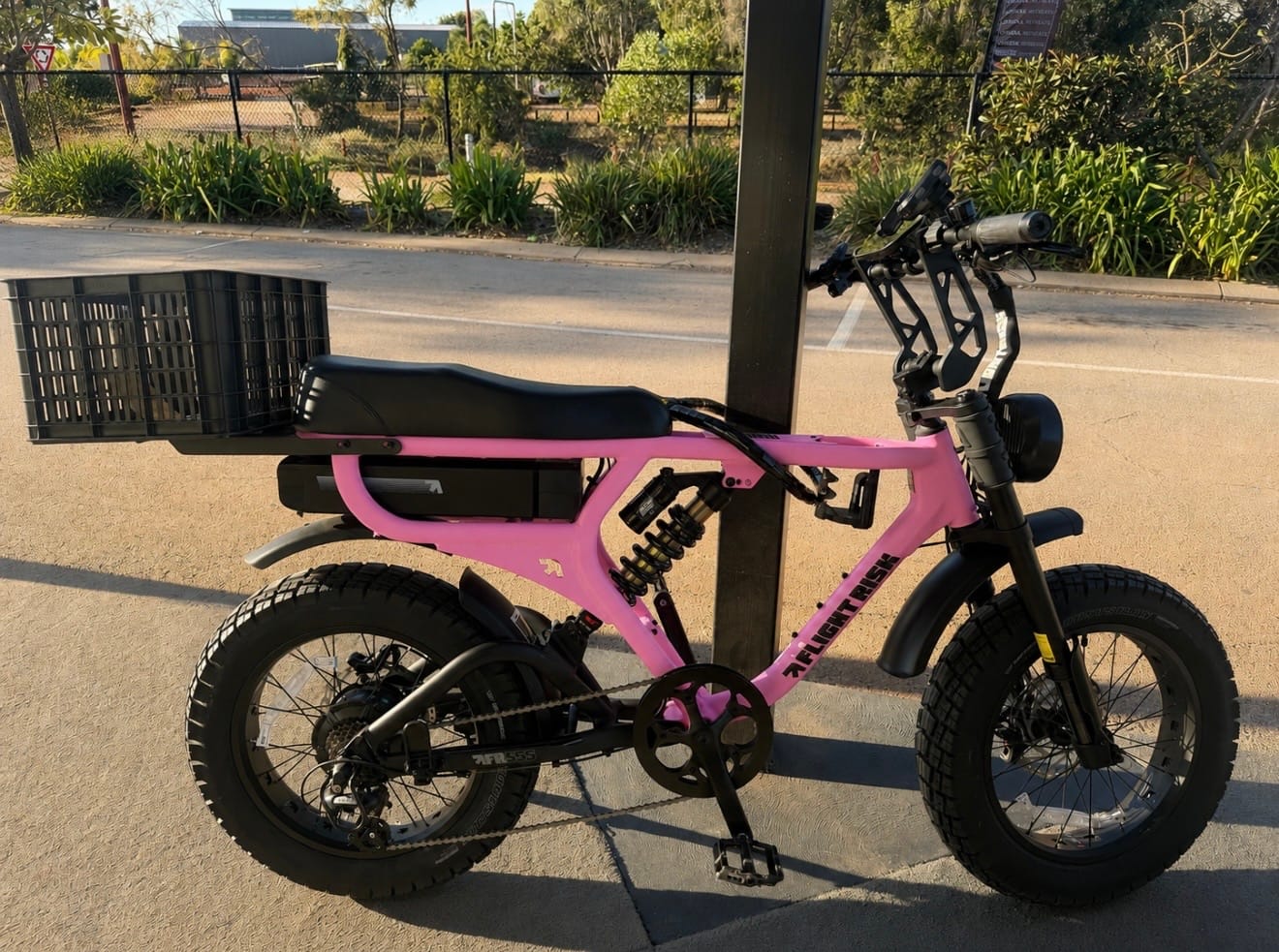 Customer photo review of FR555 - Pink