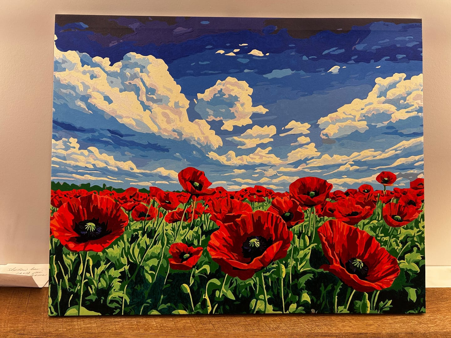 Customer photo review of Field of Poppies