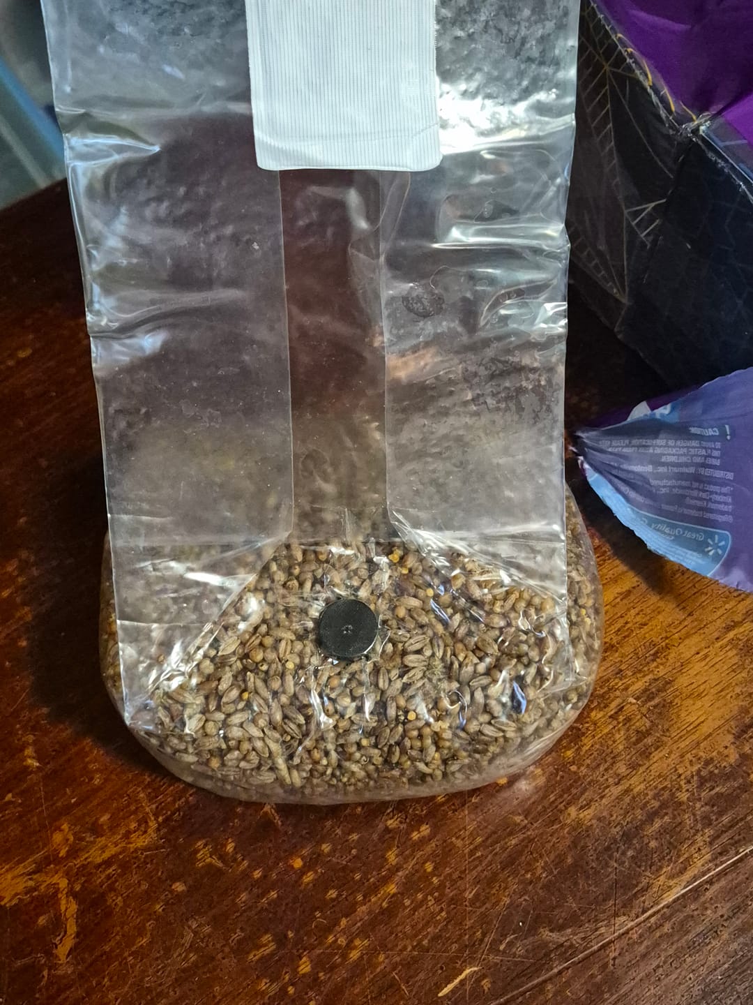 Customer photo review of Multi-Grain Spawn Bag