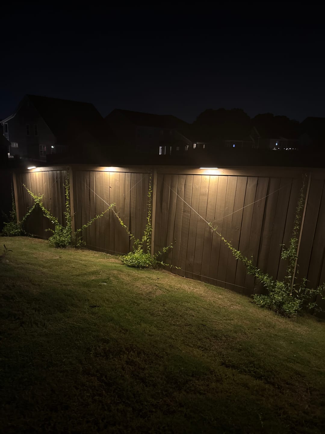 Customer photo review of Solar Wall Light with Motion Sensor