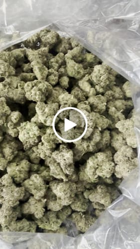 Customer video review of Boutique Exotics Obama Runtz - Bulk - Hybrid