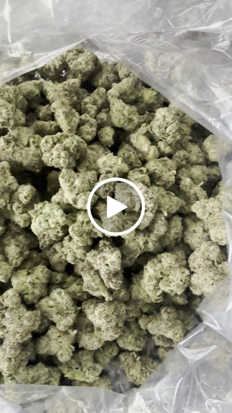 Customer video review of Boutique Exotics Obama Runtz - Bulk - Hybrid